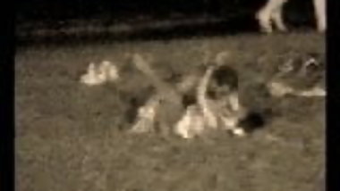 Hidden Cam of Public Beach Sex