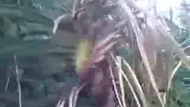 man fuck girl in sugarcane field.mp4