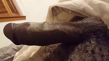 The DaddiCoco Evolution of the West Indian Grower!