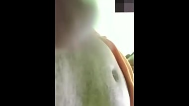 Indian show cock