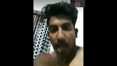 Indian black cock