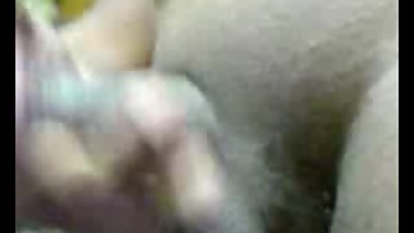 indian cock show
