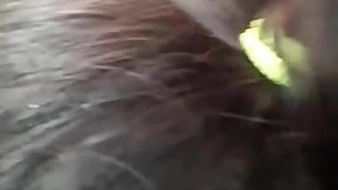 Fucking indian beauty in Car