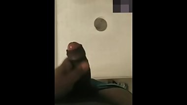 Indian bear jerk off black dicka€‹