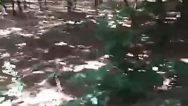 Walking in the park