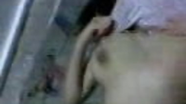 INDIAN BIG TIT