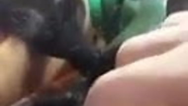 bus indian braid
