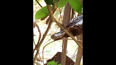 Kdt outdoor g 28/05/18