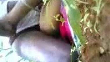 indian jungle