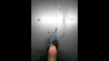 Indian cock