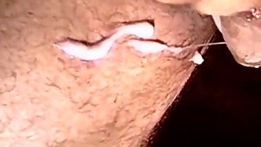 PENIS