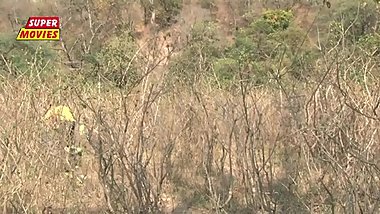 Isha Bhabhi JUNGLE DATE