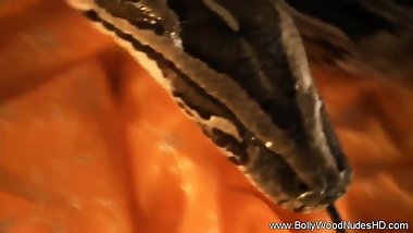 The Rising Of The Sensual Snake